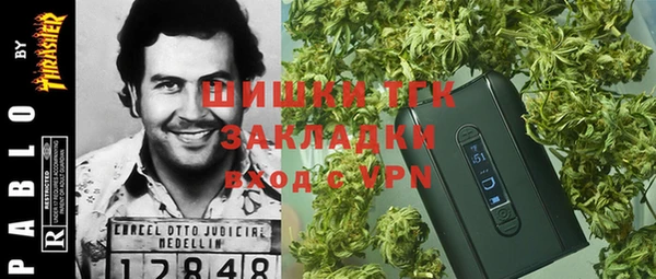 гидропоника Богородск